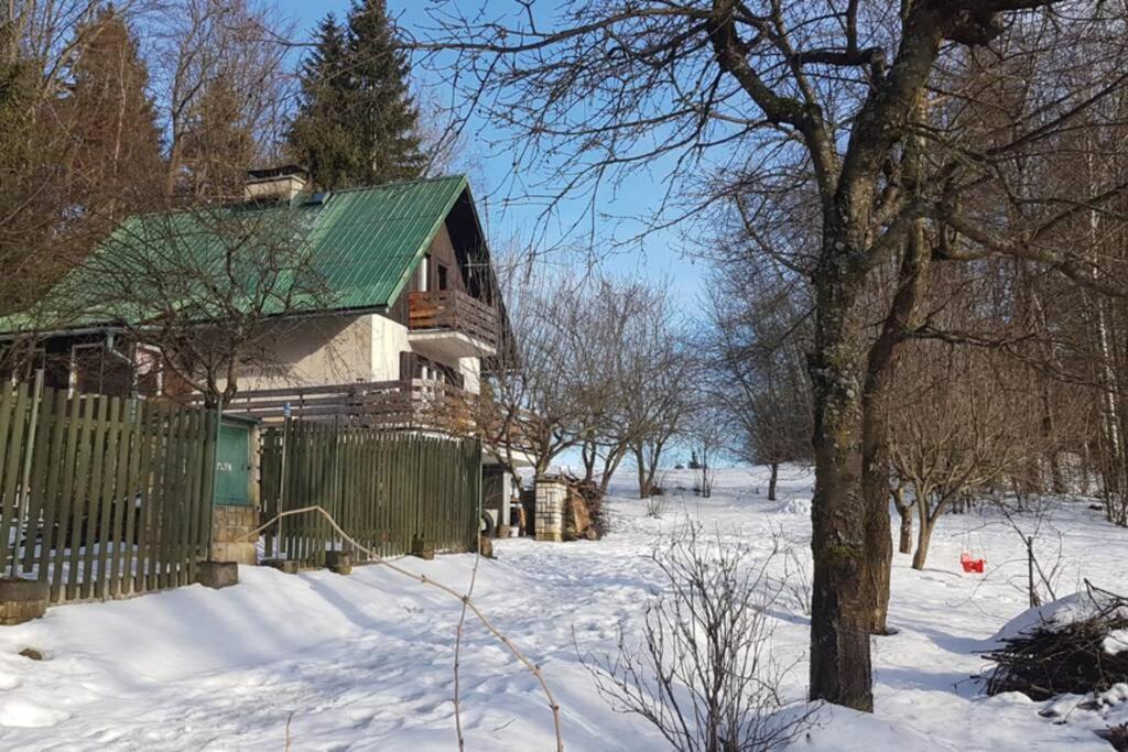 Chata Na Poskle U Lesa S Vyhledem Hutisko المظهر الخارجي الصورة