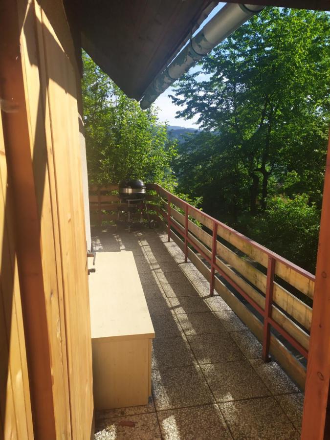 Chata Na Poskle U Lesa S Vyhledem Hutisko المظهر الخارجي الصورة